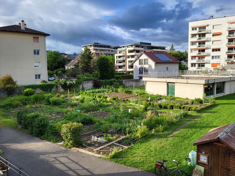 Les jardins vus de la salle de réunion dans  la maison paroissiale